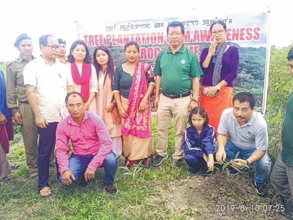 Tree plantation drive and awareness programme held
