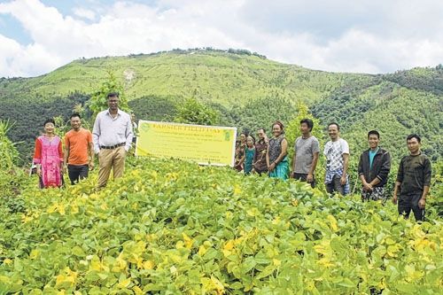 Farmers' field day organised at Ukhrul