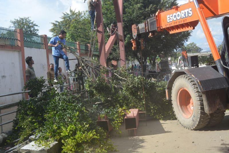  Fully grown tree chopped in the heart of Imphal; Is Green Manipur Mission a joke? 