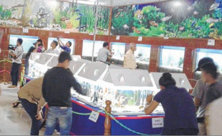 6th State Level Aquarium Exhibition starts