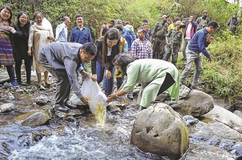 1 lakh fish fingerlings released in Barak River