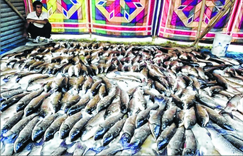 Ningol Chakkouba: Fisheries Department all set to hold fish fair