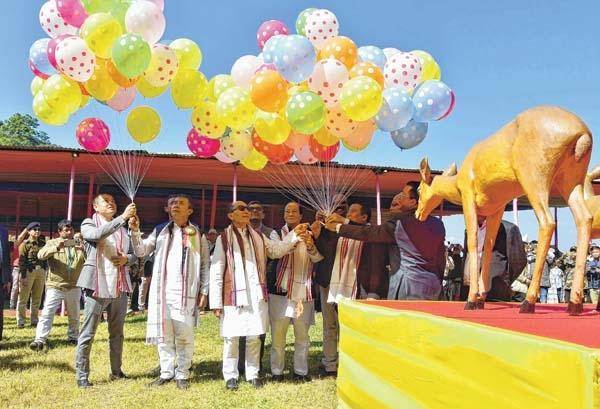 Development of ethnic park in Keibul Lamjao will boost Sangai Fest: Shyamkr