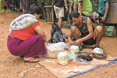 Fermented bamboo shoots: Source of livelihood for Kwatha villagers