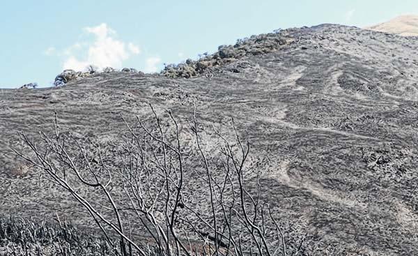 Wildfire reduces lower ridge of Shirui to ashes