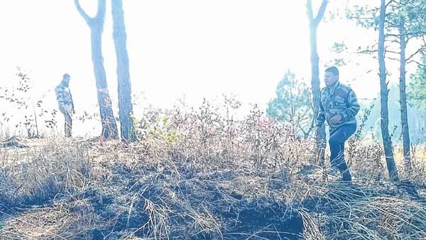 Portion of hill set on fire, spot inquiry on