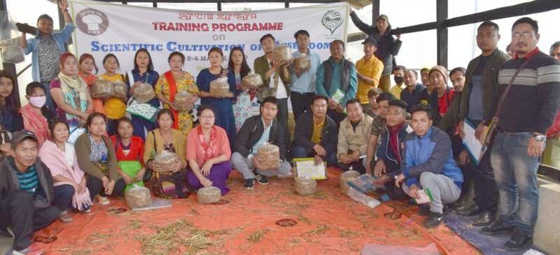 Training Programme on Scientific Cultivation of Mushroom concludes at ICAR