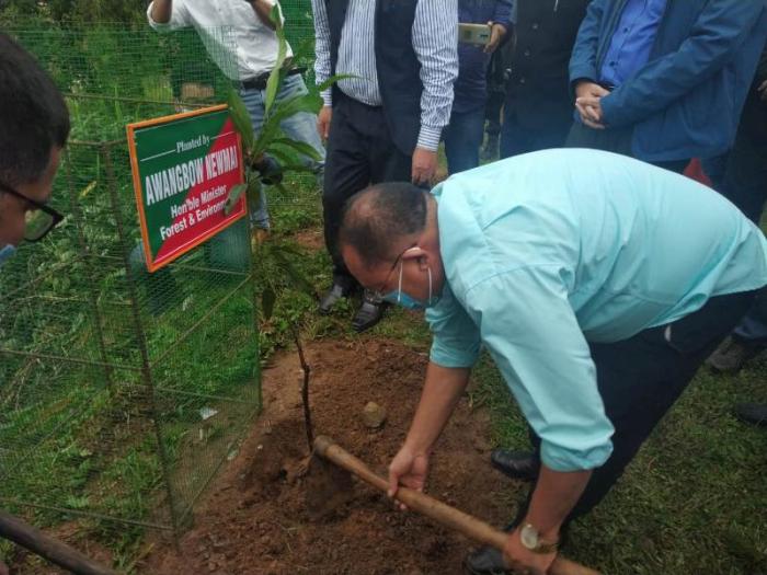 Festival of Tree Plantation celebrated in Tamenglong