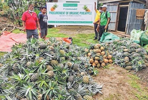 CM responds to distress call of pineapple farmers