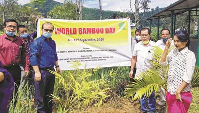 State celebrates 'World Bamboo Day'