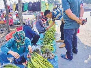 Low yield drives yongchak price up: Vendors