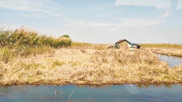 Vanishing wetlands ring ecological disaster warning