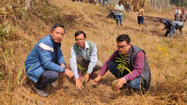 Tree Plantation drive begins at Senapati, CCpur, Chandel