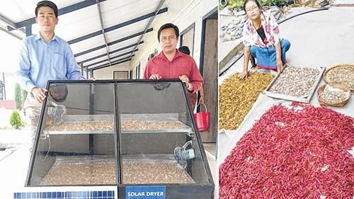 Now technology makes process of drying fruits, veggies simpler, faster