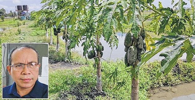 CAU Prof gives tips for successful fruit growing venture