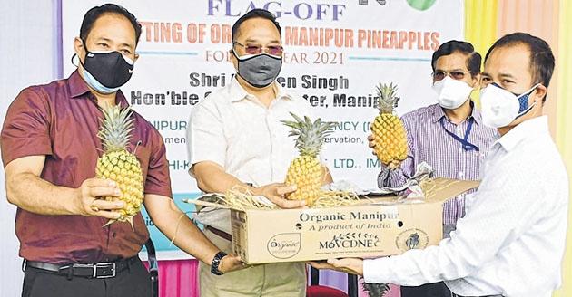 1.2 MT of pineapples exported to other States