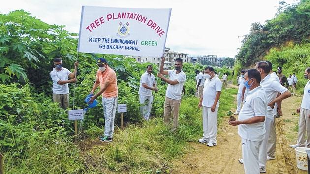 Mass plantation drive held widely