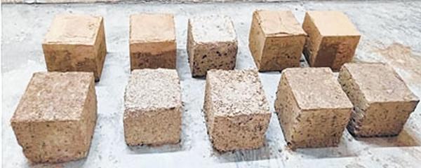 Civil Engineering students of MTU develop eco-brick