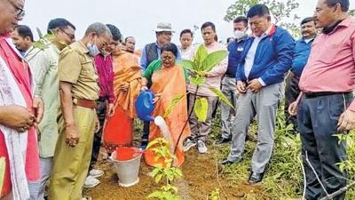 Don't interfere with planting trees to save environment