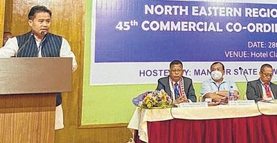 Biswajit calls for revamp of power sector