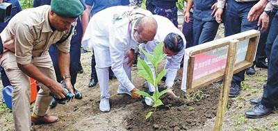 73rd Van Mahotsav : CM leads tree plantation drive