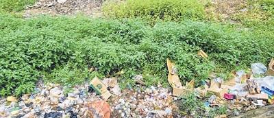 Inadequate waste disposal system breeds pollution