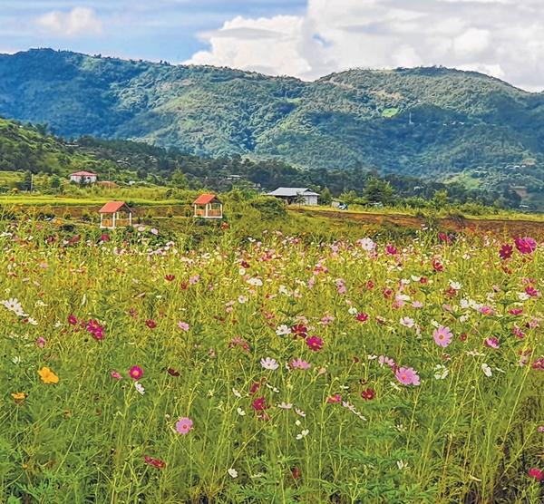 Emerging tourist destination in Senapati district