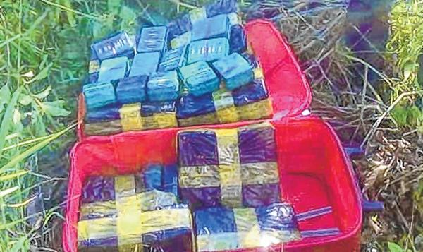 Drugs worth crores destroyed, KNF (P) claims