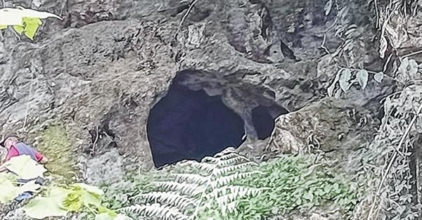 Bats killed, evicted to make Mangsor Cave tourist friendly