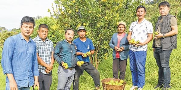 Pesticides, equipment distributed to counter pests in orange farms