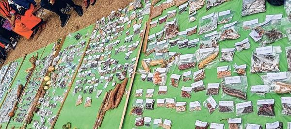 Exhibition of Tangkhul indigenous seeds held at Alungtang