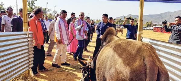 Khashim Vashum calls for protection of indigenous cows