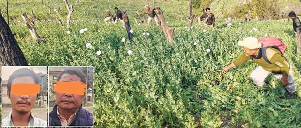 20 acres of poppy plantation destroyed; 2 held, 2 absconding