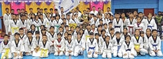 17th Governor's Cup Taekwondo 