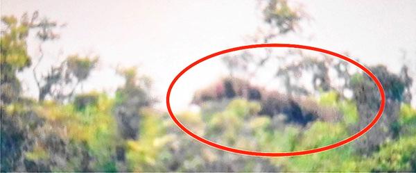 Kuki militants' attacks go on unabated; villagers demand removal of bunkers