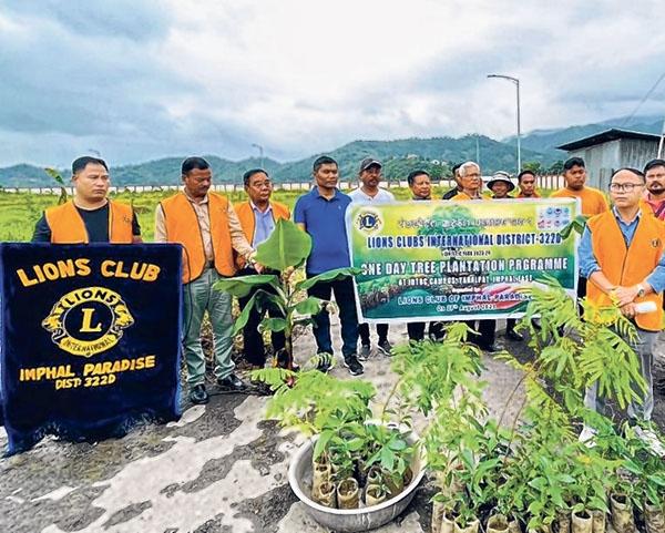 Tree plantation programme held