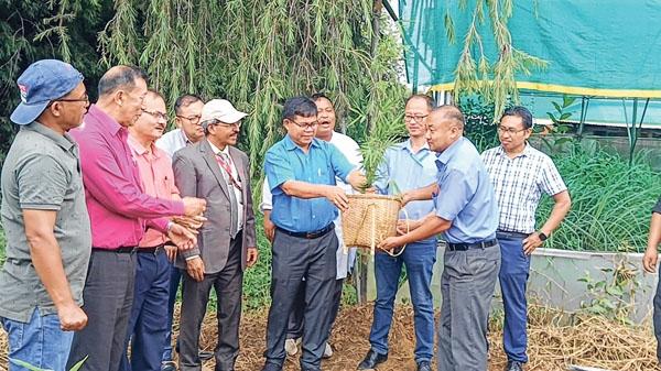 CSIR-NEIST hosts World Bamboo Day