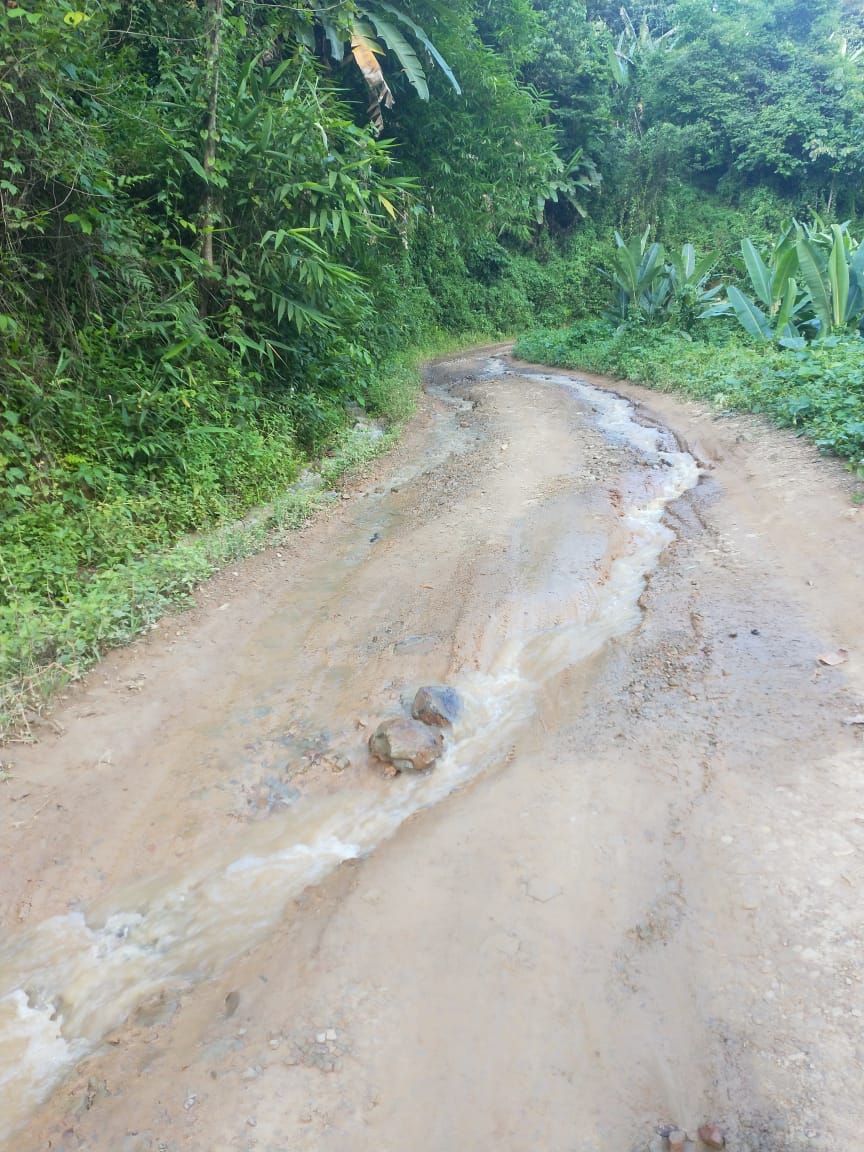 The pathetic condition of the road leading to Haochong sub division from Noney district headquarter :: August 04 2019