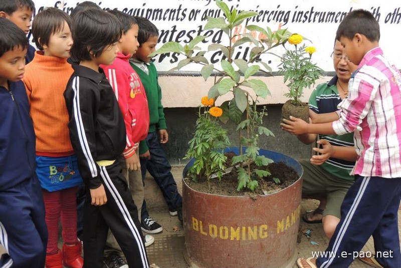 Blooming November at Ema Keithel :: 3rd November 2013
