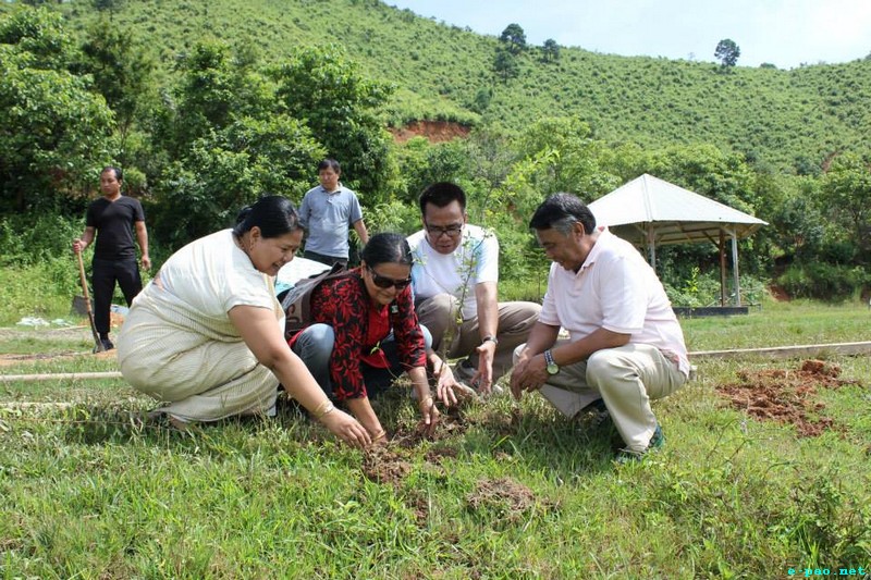 Tree plantation at Mega Manipur School as part of 'Save Mother Earth' :: August 4, 2013