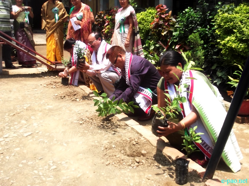 State Level observance of World Enviroment Day at MFDC, Imphal  :: 5 June 2013