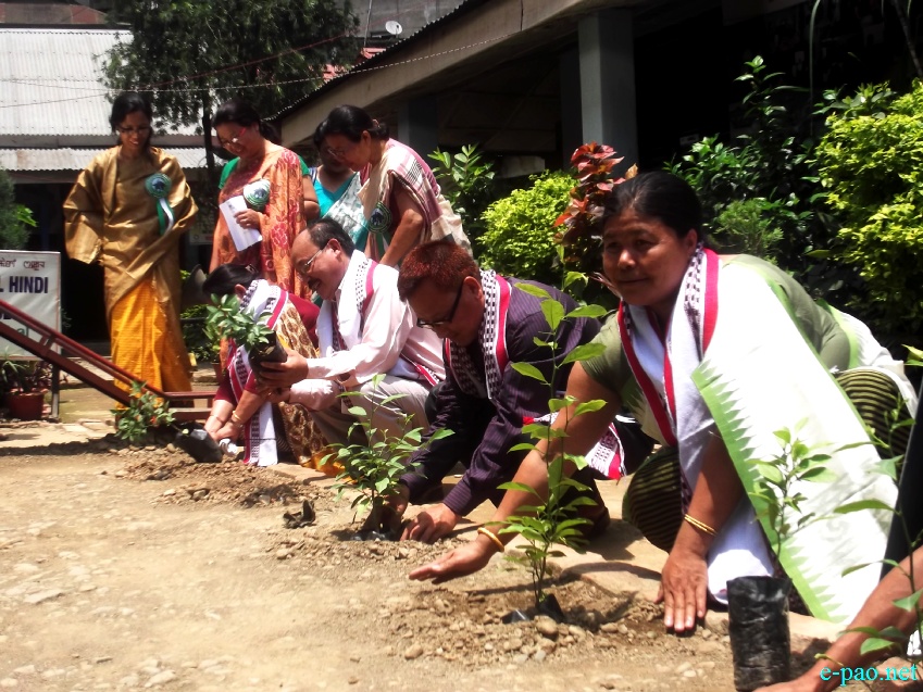 State Level observance of World Enviroment Day at MFDC, Imphal  :: 5 June 2013