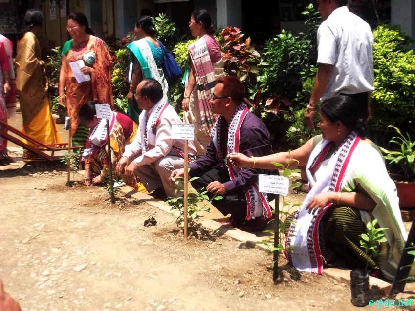 State Level observance of World Enviroment Day at MFDC, Imphal  :: 5 June 2013
