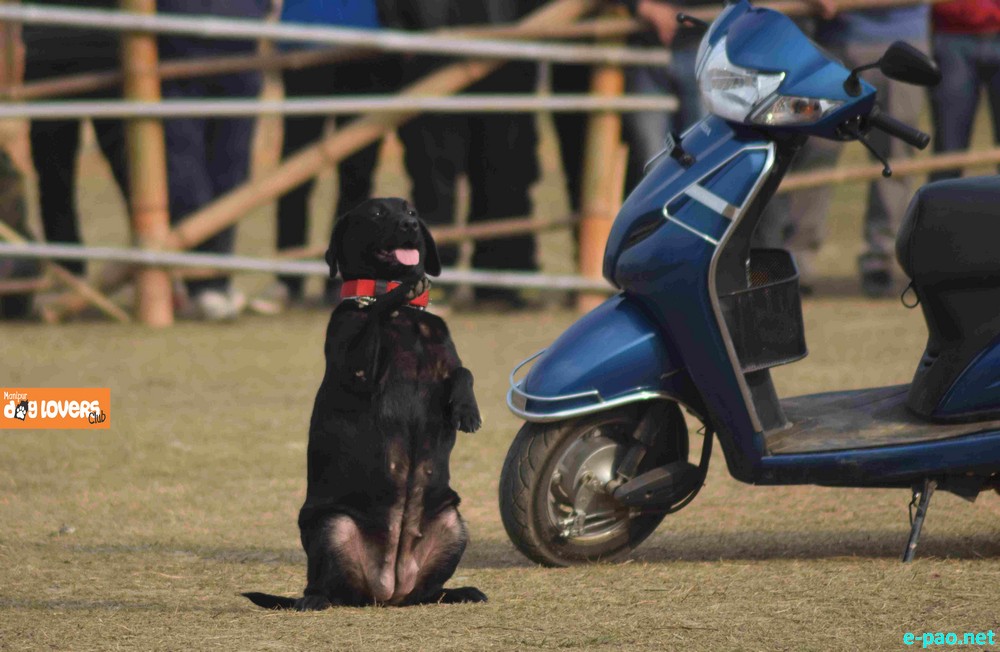 Canine Carnival 2015 at Hapta Kangjeibung Ground, Imphal  :: 25 November 2015