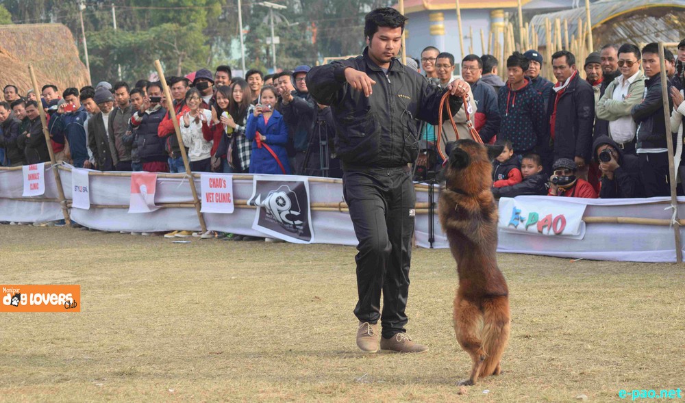 Canine Carnival 2015 at Hapta Kangjeibung Ground, Imphal  :: 25 November 2015