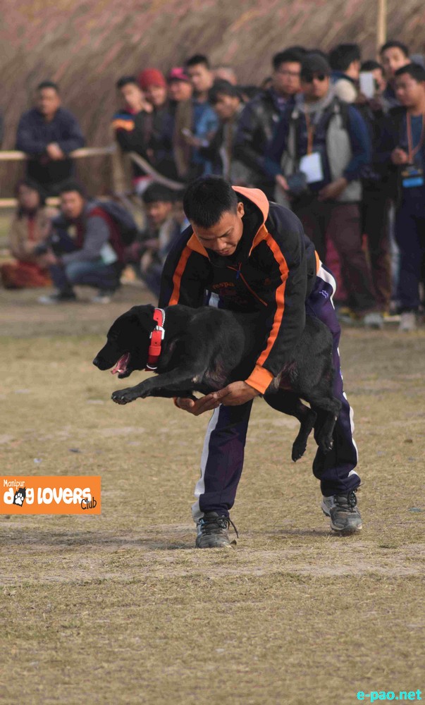 Canine Carnival 2015 at Hapta Kangjeibung Ground, Imphal  :: 25 November 2015