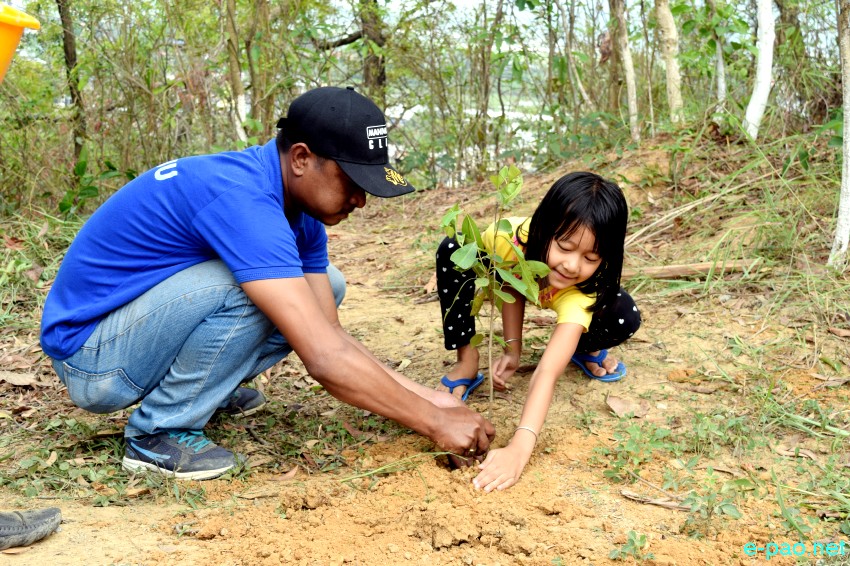  Tree plantation by Journalists as part of World Environment Day  at Cheiraoching, Thangmeiband :: 5th June 2019 