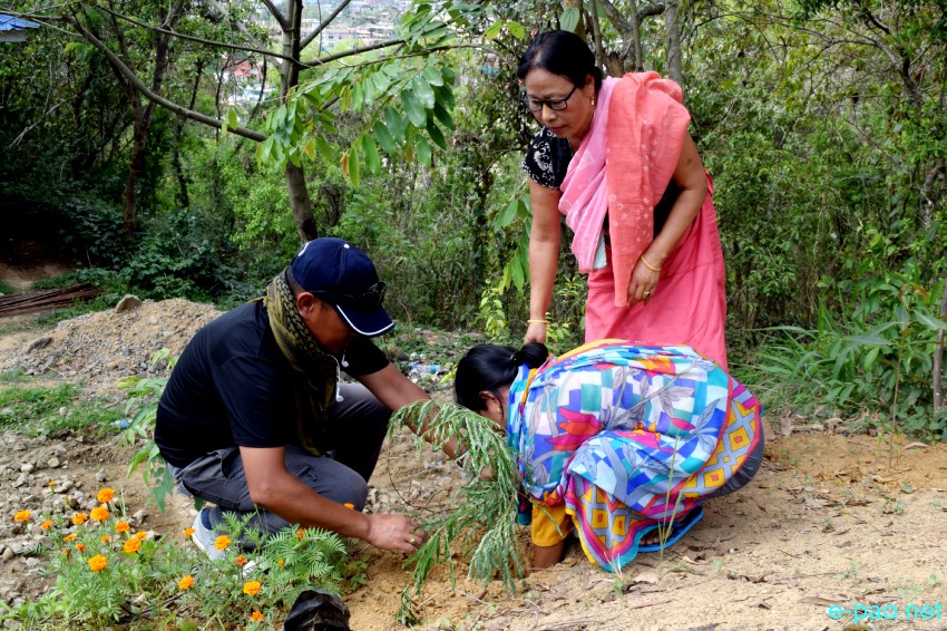 Tree plantation by Journalists as part of World Environment Day  at Cheiraoching, Thangmeiband :: 5th June 2019