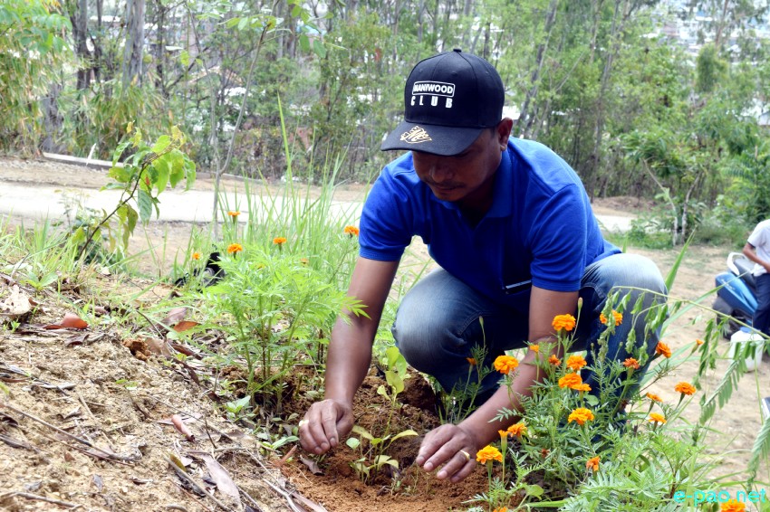 Tree plantation by Journalists as part of World Environment Day  at Cheiraoching, Thangmeiband :: 5th June 2019