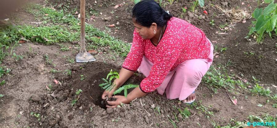 World Environment Day celebrated by planting trees in different parts of the state :: June 05 2021